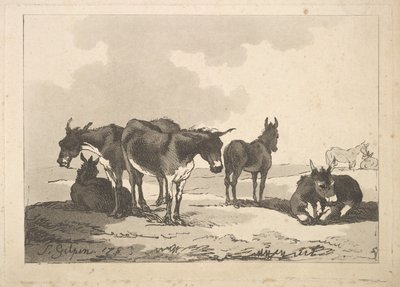 A Group of Five Donkeys, Three Standing, Two Lying by Thomas Rowlandson