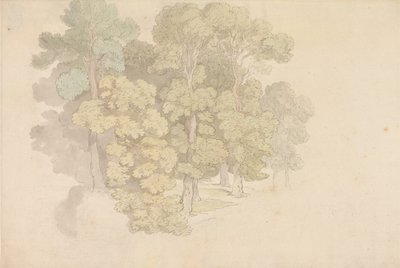 A Group of Trees by Thomas Rowlandson
