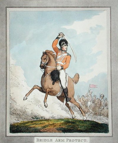 Bridle Arm Protect, from 