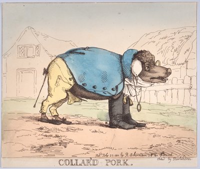 Collar