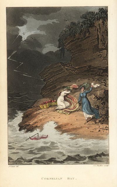 Cornelian Bay: Regency women on a picnic are surprised by a sudden storm by Thomas Rowlandson