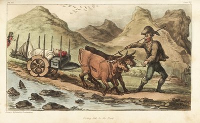 Ensign Johnny Newcome, Sick with Dysentery, Taken by Ox Cart to Salamanca, Spain by Thomas Rowlandson