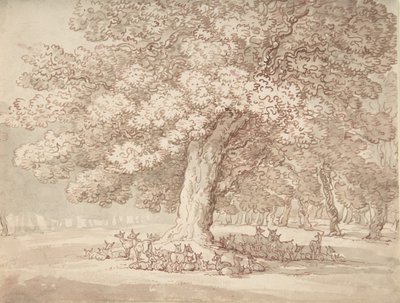 Herd of Deer under an Oak Tree, 1775-1827 by Thomas Rowlandson