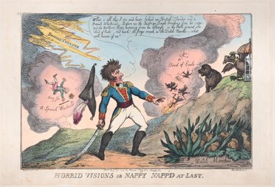 Horrid Visions of Nappy Napp
