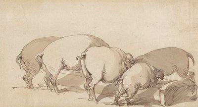 Pigs at a Trough, c.1790 by Thomas Rowlandson