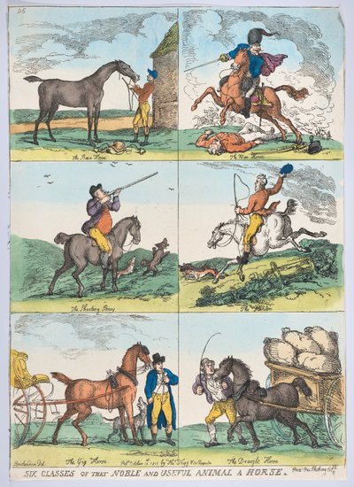 Six Classes of the Noble and Useful Animal a Horse by Thomas Rowlandson