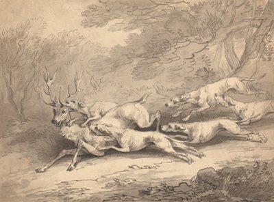 Stag Brought Down by a Pack of Dogs by Thomas Rowlandson