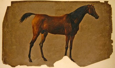 An Arab Horse by Thomas Sidney Cooper