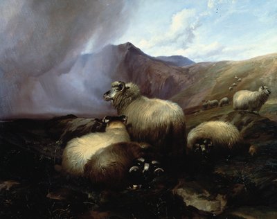Highland Sheep in a Mountainous Landscape by Thomas Sidney Cooper