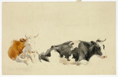 Two Recumbent Cows (recto); Sketch of Standing Cow (verso) by Thomas Sidney Cooper
