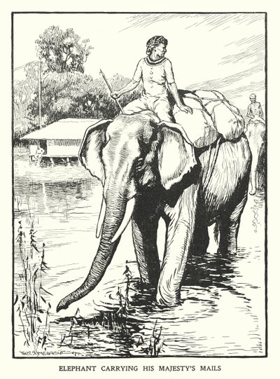Elephant Carrying His Majesty
