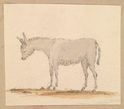 Study of a Donkey, c.1820 by Thomas Streatfeild