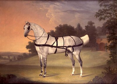 Portrait of Beauty, Aged Ten Years by Thomas Stringer