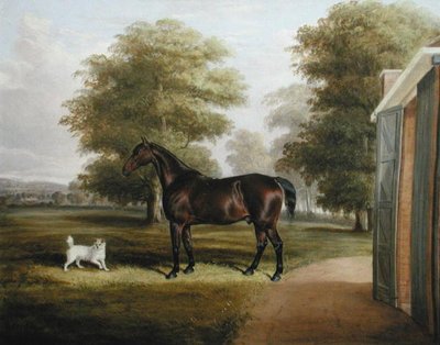 A Bay Horse with a Terrier by Thomas W. Bretland