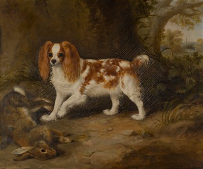 A Spaniel with a Dead Hare by Thomas W. Bretland