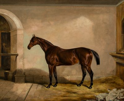 Teddy the Tiler: A Horse by Thomas W. Bretland