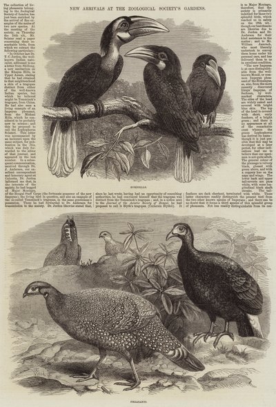 New Arrivals at the Zoological Society