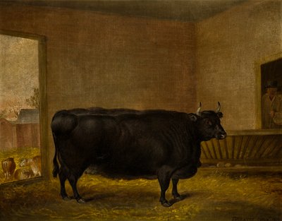 A Prize Bull: A Fat Kerry Cow by Thomas Weaver