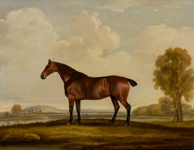 Georgiana: a Horse by Thomas Weaver