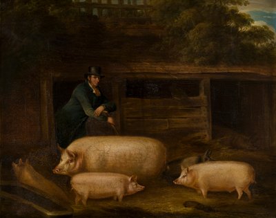 Harry Green, Pigman, with his Pigs in a Sty by Thomas Weaver