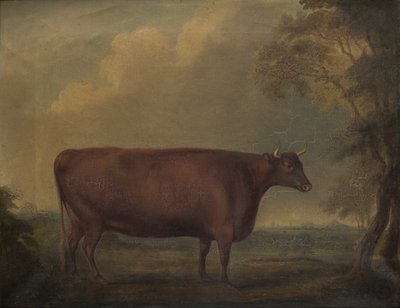 Red Devon Heifers in Landscape by Thomas Weaver