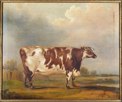 Wildair, an Eight-Year-Old Heifer in a River Landscape by Thomas Weaver