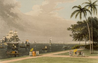 View of Calcutta from the Garden Reach, 1810 by Thomas und William Daniell