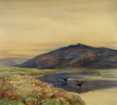 Landscape with Birds by Thorolf Holmboe