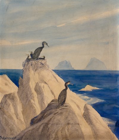 Northern Gannets by Thorolf Holmboe