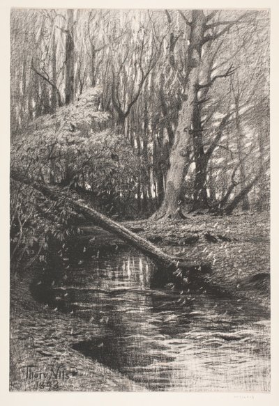 Forest Landscape with a Stream by Thorvald Niss