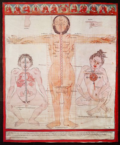 Anatomical Chart, 1938 by Tibetan School