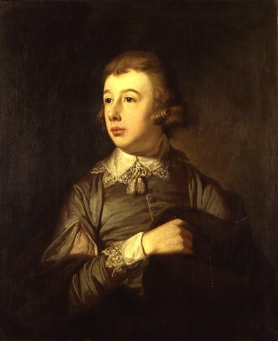 Portrait of a Boy, said to be William Pitt, The Younger (1759-1806) by Tilly Kettle