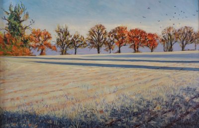 Frost on the Field by Tilly Willis