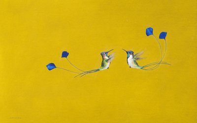 Hummingbirds by Tim Hayward