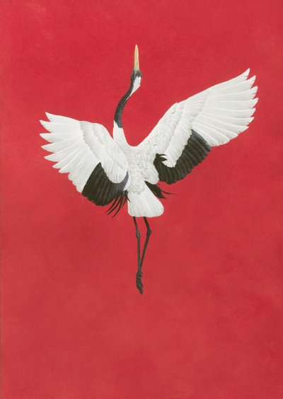 The Dance-Red by Tim Hayward