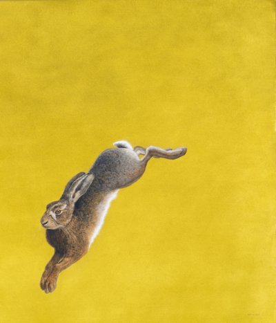 The Leap-Yellow by Tim Hayward