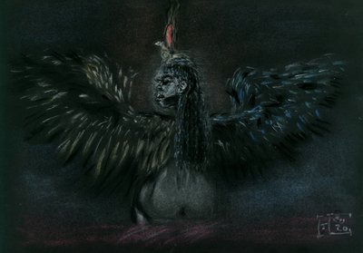 Dark Winged Goddess by Tim Hoinkis