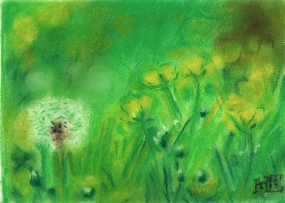 Summer Dandelion Field by Tim Hoinkis