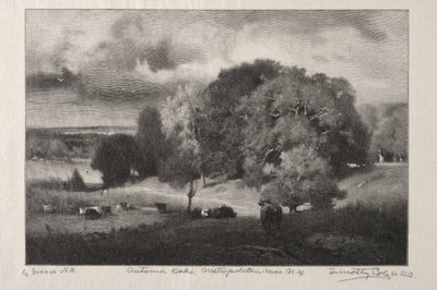 Autumn Oaks by Timothy Cole