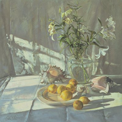 Reflections and Shadows by Timothy Easton