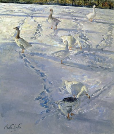 Shadows and Trackways by Timothy Easton