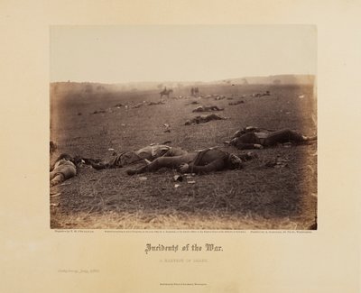 Incidents of the War: A Harvest of Death by Timothy H. O