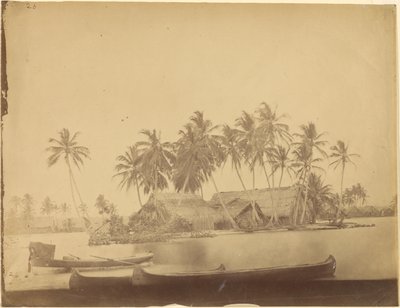 Limón Bay, Isthmus of Darién (Panama) by Timothy H. OSullivan