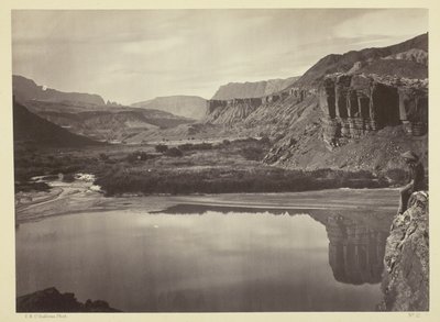 Looking Across the Colorado River to the Mouth of Paria Creek by Timothy O