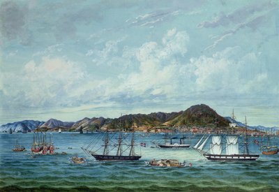 View of Hong Kong, c.1860 by Tinqua