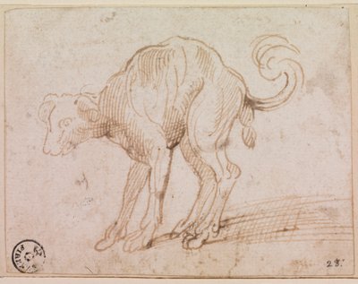Detail of a dog crossing the Red Sea by Titian (c.1488 1576)
