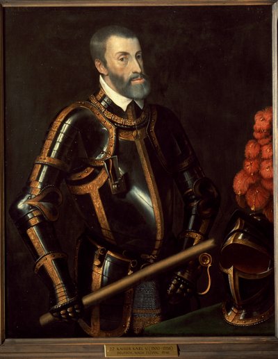 Portrait of Charles V, Emperor of Germany by Titian (c.1488 1576) (manner of)