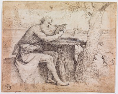 Saint Jerome in a Landscape by Titian (c.1488 1576)