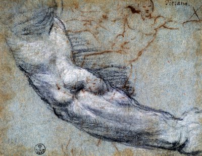 Study of arm (by Titian) by Titian (c.1488 1576)