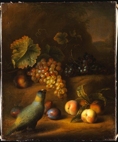 A Parrot with Grapes, Peaches and Plums in a Landscape by Tobias Stranover